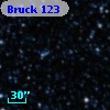 Bruck 123