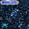 [BS95] 123