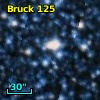 Bruck 125