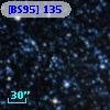 [BS95] 135
