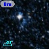Bruck 131