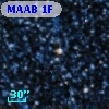MAAB 1F