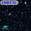 FAUST   75
