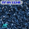 SV* HV 11348