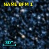 NAME BFM 1