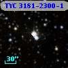 TYC 3181-2300-1