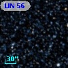 LIN  56