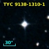 TYC 9138-1310-1