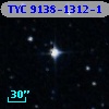 TYC 9138-1312-1