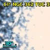 Cl* NGC  362    TUC     338