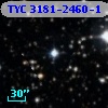 TYC 3181-2460-1