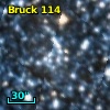 Bruck 114