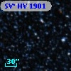 SV* HV  1901