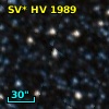 SV* HV  1989