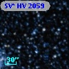 SV* HV  2059