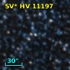 SV* HV 11197