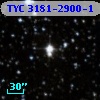 TYC 3181-2900-1