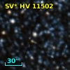 SV* HV 11502