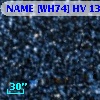 SV* HV 13011