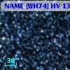 SV* HV 13014