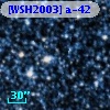 [WSH2003] a-42