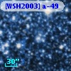 [WSH2003] a-49