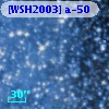 [WSH2003] a-50