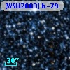 [WSH2003] b-79