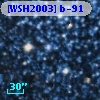 [WSH2003] b-91