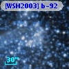 [WSH2003] b-92