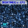 [WSH2003] c-171