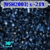 [WSH2003] c-219