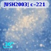 [WSH2003] c-221