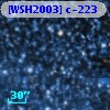 [WSH2003] c-223