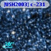 [WSH2003] c-231