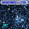 [WSH2003] c-239