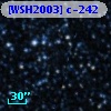 [WSH2003] c-242