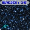 [WSH2003] c-247