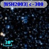 [WSH2003] c-300
