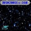 [WSH2003] c-310