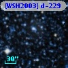 [WSH2003] d-229