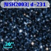 [WSH2003] d-231