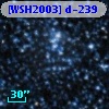 [WSH2003] d-239