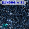 [WSH2003] e-31