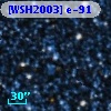 [WSH2003] e-91