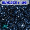 [WSH2003] e-100