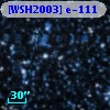 [WSH2003] e-111