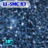LI-SMC  83