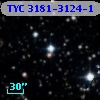 TYC 3181-3124-1