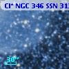 Cl* NGC  346    SSN     313